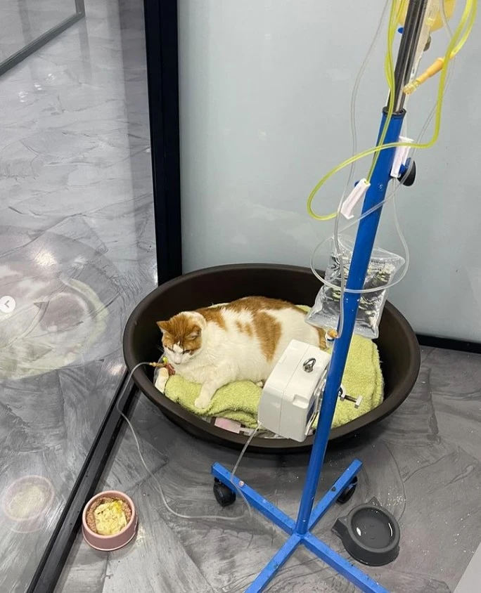 Danla Biliç'i kahreden haber! "Çok erken bıraktın beni..."